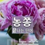 농쫑으로 끝나는 단어는? 1개