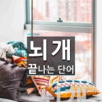 뇌개로 끝나는 단어는? 1개