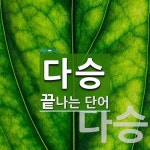 다승으로 끝나는 단어는? 2개