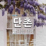 단촌으로 끝나는 단어는? 1개