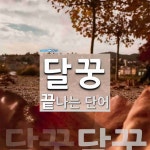 달꿍으로 끝나는 단어는? 1개