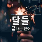 달들로 끝나는 단어는? 1개