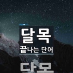 달목 끝 단어