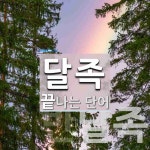 달족으로 끝나는 단어는? 2개