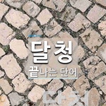 달청으로 끝나는 단어는? 1개