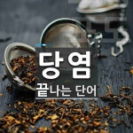 당염 끝 단어