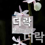 더락으로 끝나는 단어는? 2개