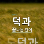 덕과로 끝나는 단어는? 1개