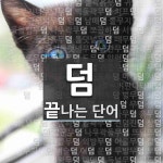 덤으로 끝나는 단어는? 144개