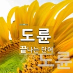 도륜 끝 단어