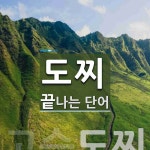 도찌 끝 단어
