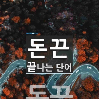 돈끈으로 끝나는 단어는? 1개