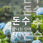 돈수로 끝나는 단어는? 12개