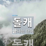 돌캐로 끝나는 단어는? 1개