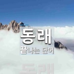 동래로 끝나는 단어는? 1개