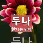 두나로 끝나는 단어는? 1개