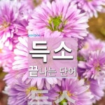 득소로 끝나는 단어는? 1개