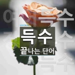 득수로 끝나는 단어는? 3개