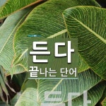든다로 끝나는 단어는? 63개