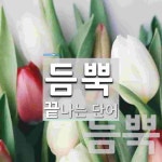 듬뿍 끝 단어