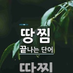땅찜으로 끝나는 단어는? 1개