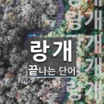 랑개로 끝나는 단어는? 8개