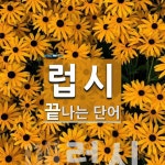 "럽시" 끝 단어