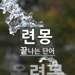 련몽으로 끝나는 단어는? 1개