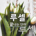 루셀 끝 단어