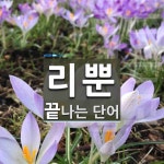 리뿐으로 끝나는 단어는? 1개