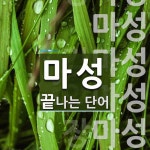 마성으로 끝나는 단어는? 8개
