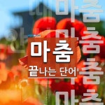 마춤으로 끝나는 단어는? 4개