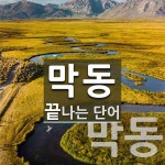 막동4교 | 막동으로 끝나는 단어는? 2개
