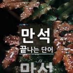 만석으로 끝나는 단어는? 1개