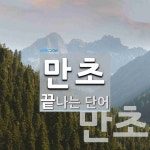 만초로 끝나는 단어는? 2개