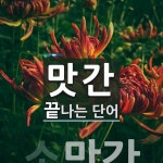 맛간으로 끝나는 단어는? 1개