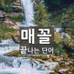 매꼴로 끝나는 단어는? 1개