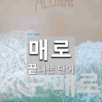 매로로 끝나는 단어는? 2개