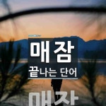 매잠으로 끝나는 단어는? 1개