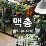 맥총으로 끝나는 단어는? 16개
