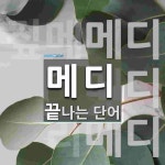 메디로 끝나는 단어는? 6개