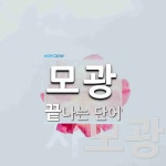 모광으로 끝나는 단어는? 2개