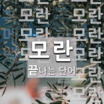 모란으로 끝나는 단어는? 12개