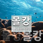 몰캉으로 끝나는 단어는? 2개