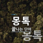 몽톡으로 끝나는 단어는? 2개