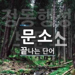 문소로 끝나는 단어는? 4개