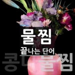 물찜으로 끝나는 단어는? 2개