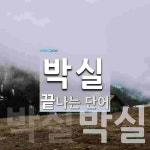 박실로 끝나는 단어는? 2개