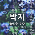 박지 끝 단어
