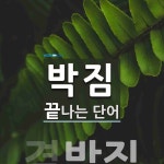 박짐 끝 단어